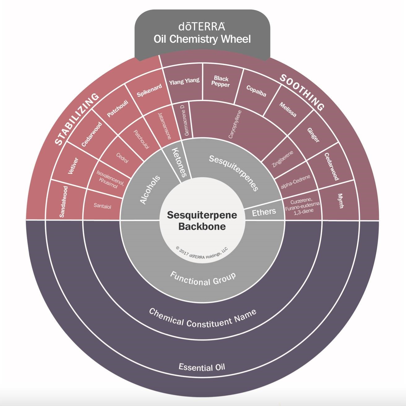 Doterra Oil Wellness Wheel